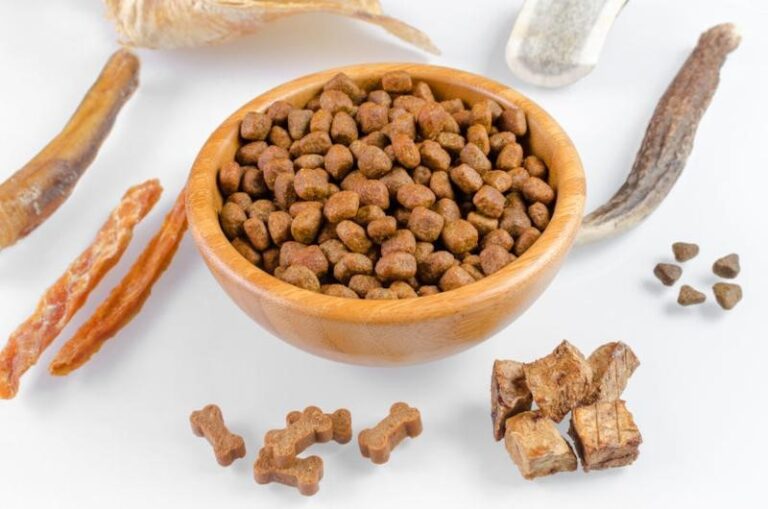 Carna4 Dog Food Review 2023: Recalls, Pros and Cons