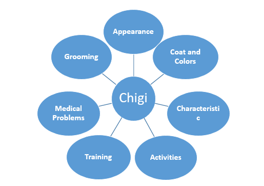 Chigi: A Comprehensive Overview