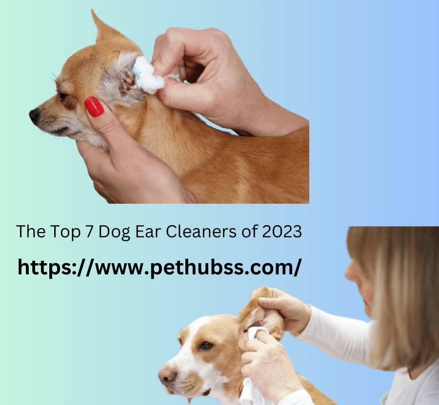The Top 7 Dog Ear Cleaners of 2023