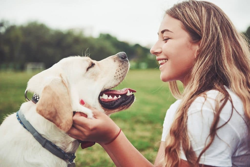 Ways to Stop Your Dog Barking Sound without Using a Bark Collar