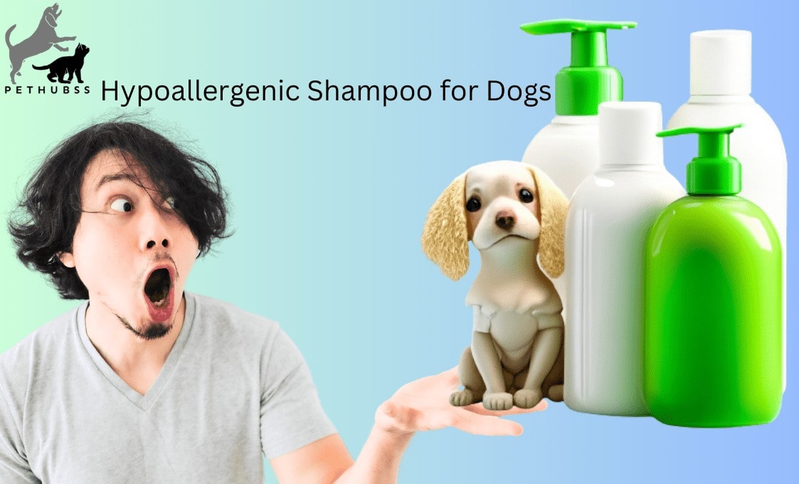Hypoallergenic Shampoo for Dogs