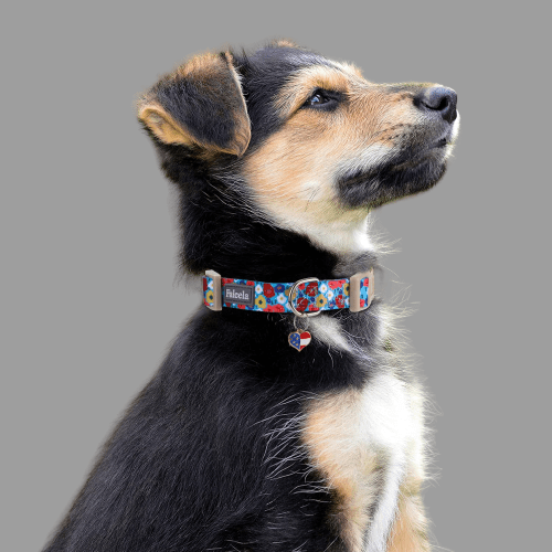 Beaded Dog Collar A Step-by-Step Guide