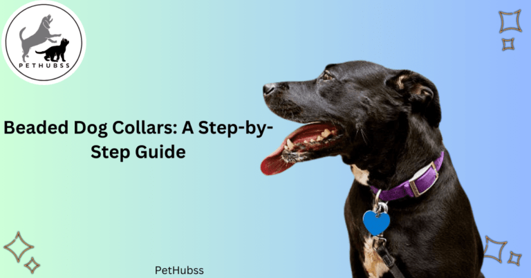 Beaded Dog Collar: A Step-by-Step Guide