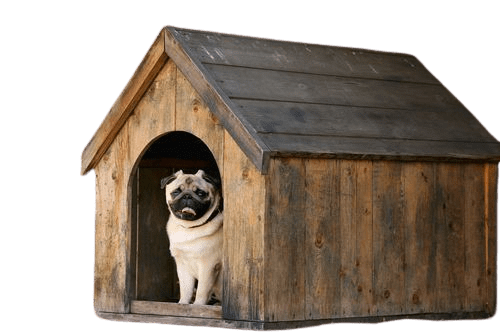 Small Dog House A Guide to Finding the Perfect Fit