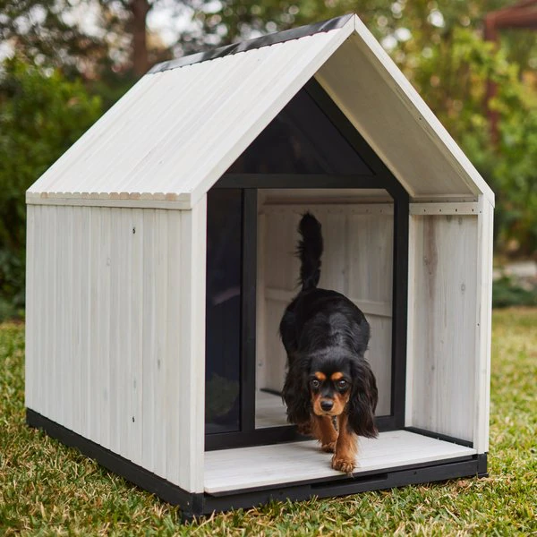 Small Dog House A Guide to Finding the Perfect Fit