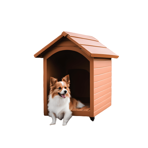 Small Dog House A Guide to Finding the Perfect Fit