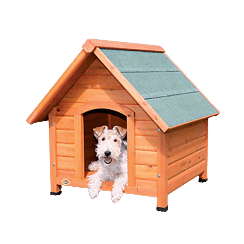 Small Dog House A Guide to Finding the Perfect Fit