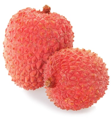 Can Dogs Eat Lychee: Unraveling the Sweet Mystery?