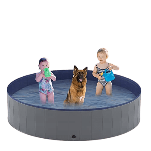 Where Can You Find the Best Pool for Dogs