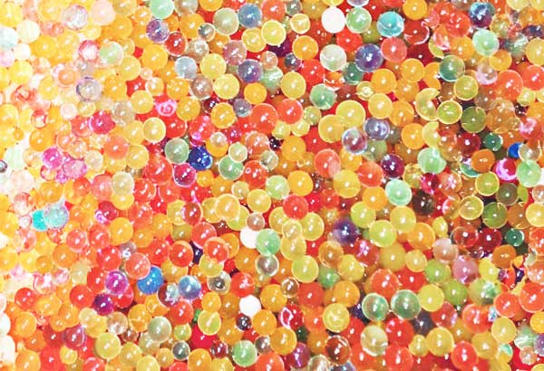 Are Orbeez Toxic to Dogs