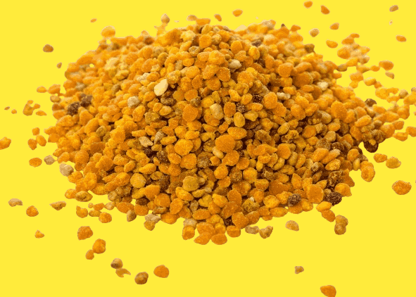 Bee Pollen for Dogs Benefits and Considerations