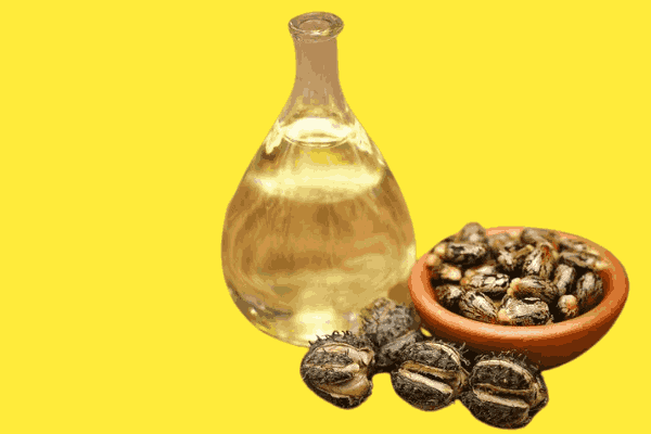 Castor Oil for Dogs: Benefits and Risks